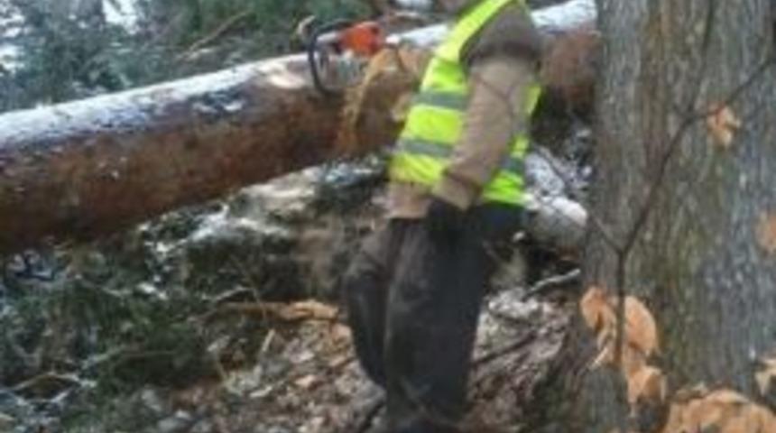 Trakt&ouml;r&uuml;n Altında Kalan Orman İş&ccedil;isi Hayatını Kaybetti