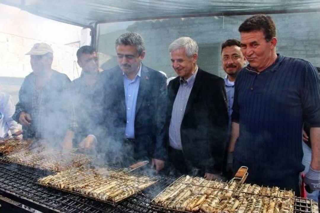 Ser&ccedil;in Yılan Balığı Şenliğine Binlerce Kişi Katıldı