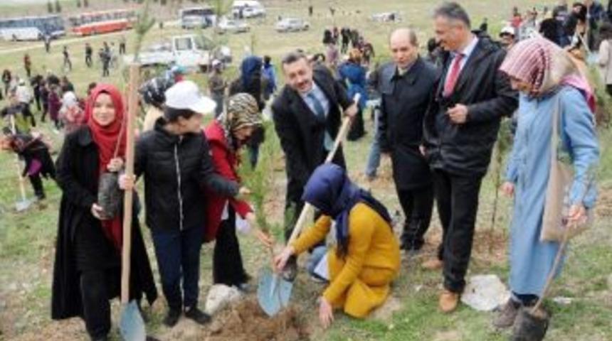 &Uuml;niversiteli Gen&ccedil;ler Hem Eğlendi Hem De Ağa&ccedil; Dikti