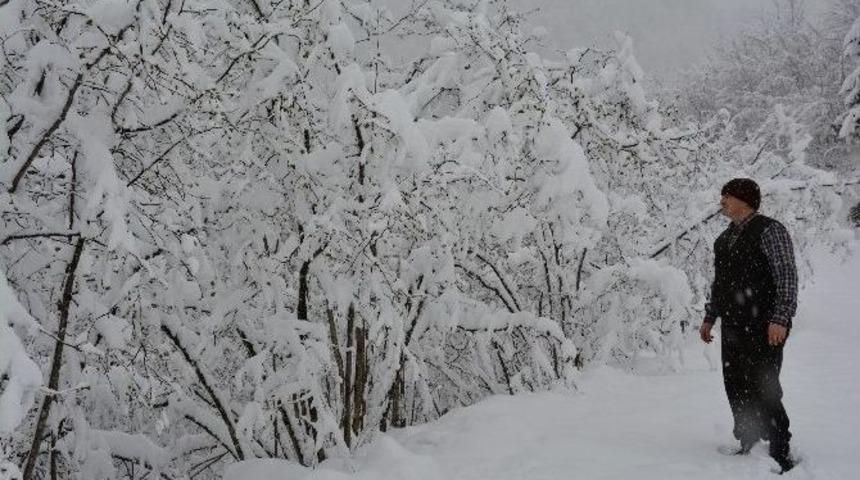 Fındıkta Korkutan Manzara