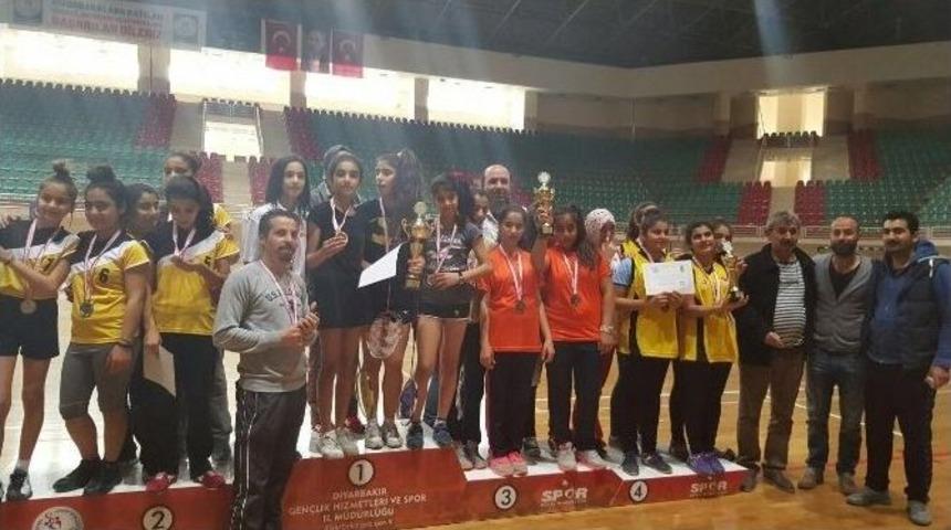 &Ccedil;ınar&rsquo;da Sodes Projesi