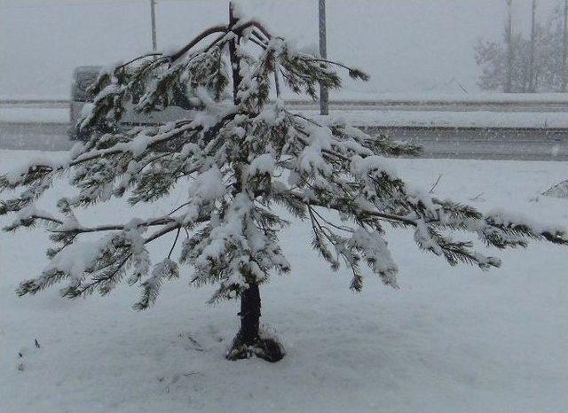 Bitlis’tde Kar Yağışı 1