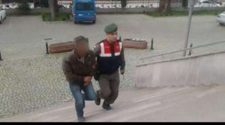 Fidan Hırsızları Yakayı Ele Verdi