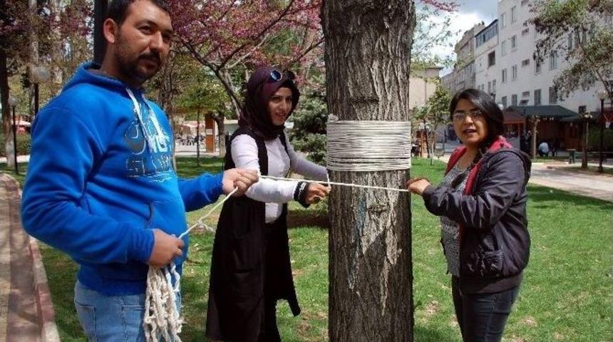 Ağa&ccedil;lar Rengarenk Olacak