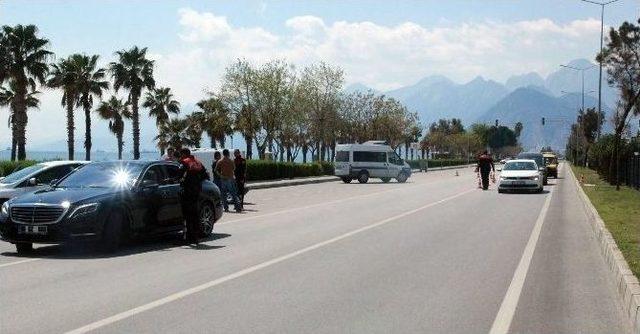 Konyaaltı Sahili Yunusların Kontrol&uuml;nde 1