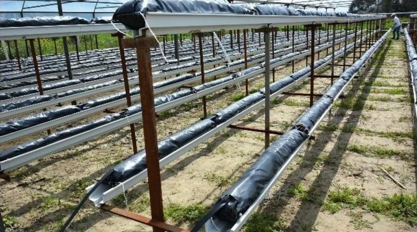 Yuntdağı &Ccedil;ilek &Uuml;retiminde Marka Olacak