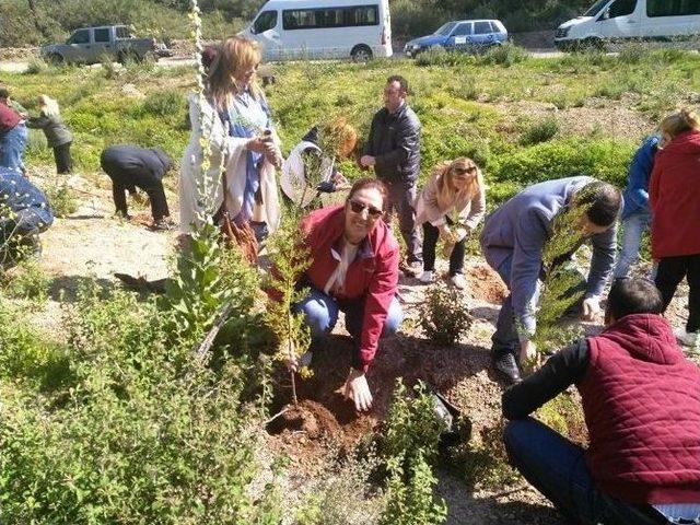Ak Partililer Bodrum&rsquo;da Yanan Ormanlık Alanlara Fidan Dikti 1