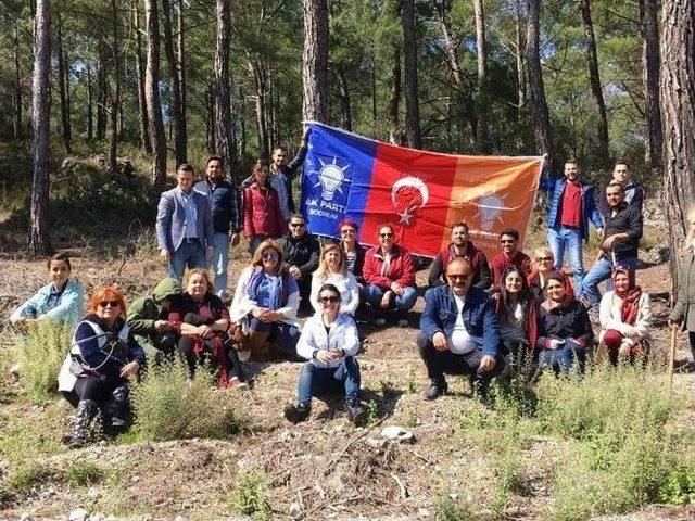 Ak Partililer Bodrum&rsquo;da Yanan Ormanlık Alanlara Fidan Dikti 2