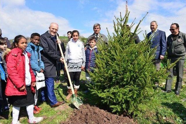 Yeşil Altıeylül’de Kardeşlik Ormanı