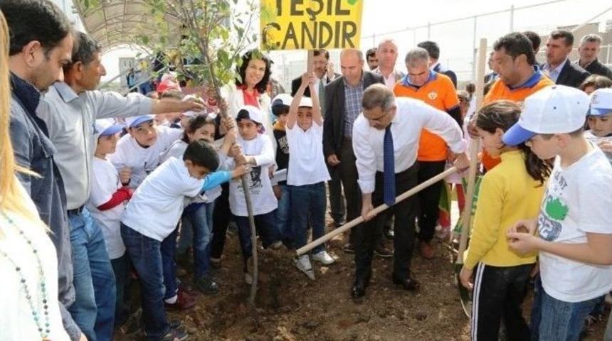 &Ccedil;elikcan &Ouml;ğrencilerle Fidan Dikti