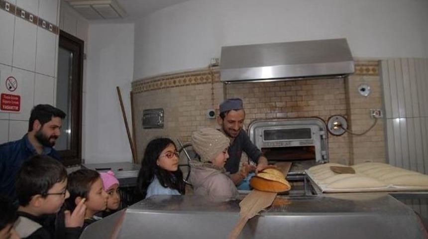 &Ouml;ğrenciler Fırını Gezdi