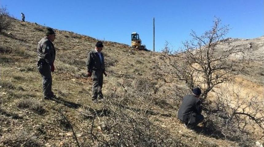 Yaban Hayvanları İ&ccedil;in Doğal Ortam Hazırlandı