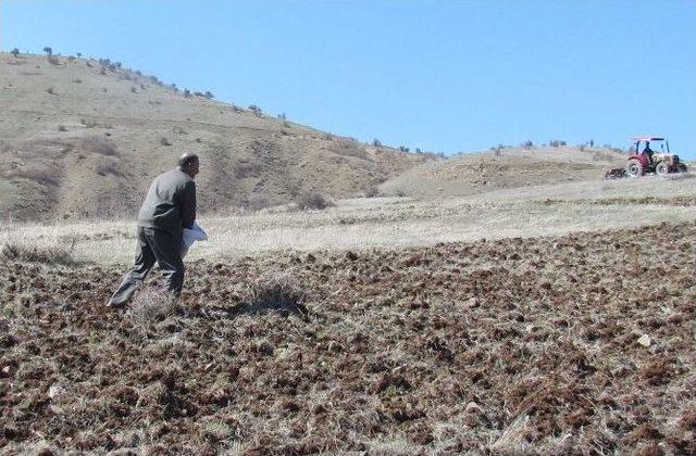 Yaban Hayvanları İçin Doğal Ortam Hazırlandı