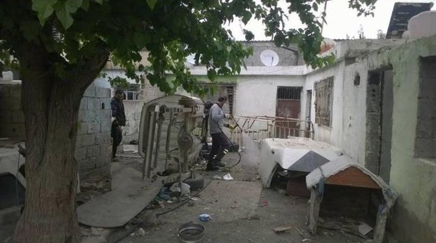 Terk Edilmiş Binalarda Haşere M&uuml;cadelesi