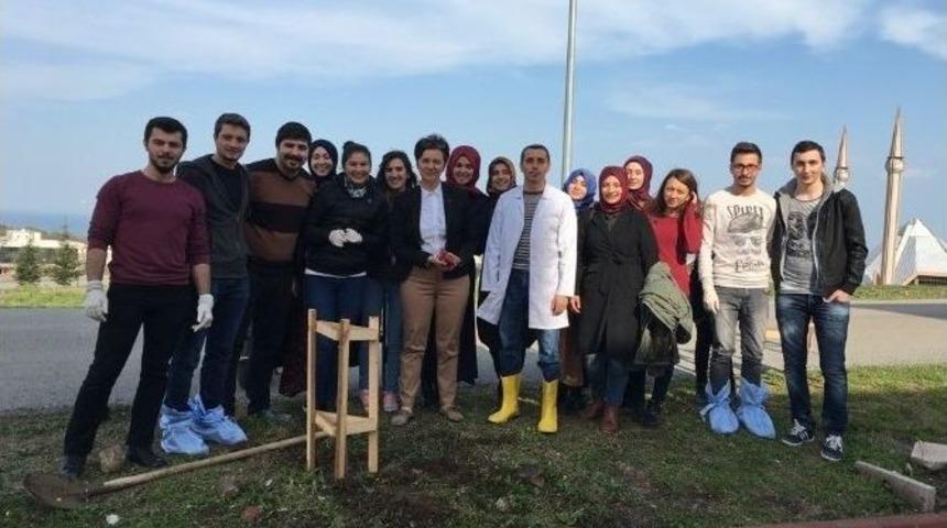 Ağa&ccedil; Dikmek Değil Korumak Sorundur