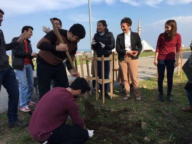 Ağaç Dikmek Değil Korumak Sorundur