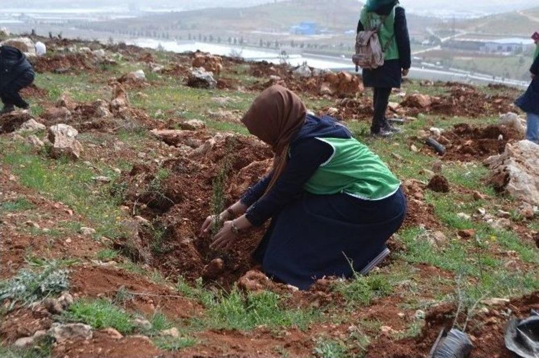 G&uuml;ney Koreli G&ouml;n&uuml;ll&uuml; &Ouml;ğretmen Suriyeli Yetimler İ&ccedil;in 800 Bin Kilometre Yol Kat Etti