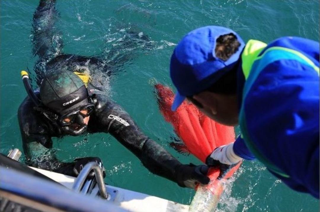 Denizin Dibi Herkesi Sevindirdi