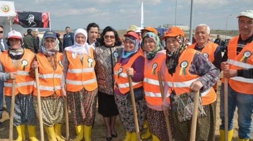 Vali Civelek Kl&uuml;&rsquo;de Fidan Dikim T&ouml;renine Katıldı