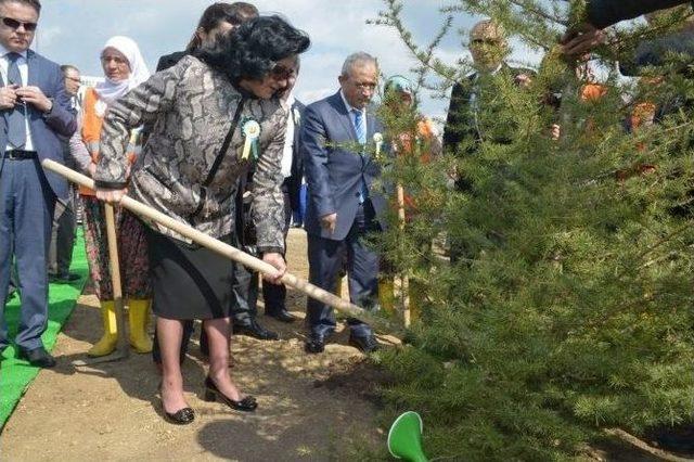 Vali Civelek Klü’de Fidan Dikim Törenine Katıldı