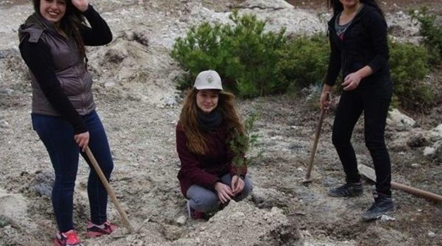 K&uuml;tahya&rsquo;da 250 Sedir Ve 250 Kara&ccedil;am Fidanı Toprakla Buluştu