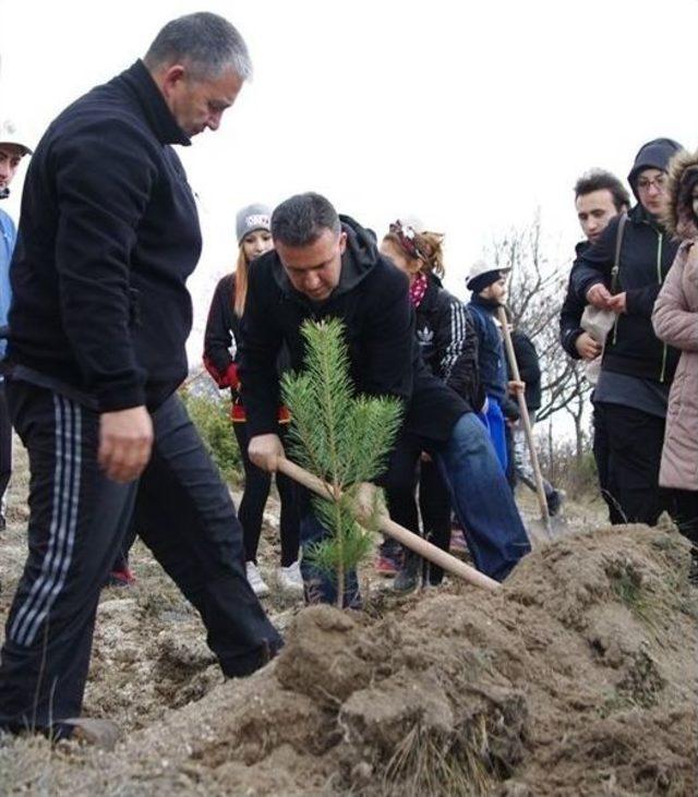 Kütahya’da 250 Sedir Ve 250 Karaçam Fidanı Toprakla Buluştu