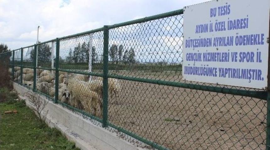 Kime Niyet Kime Kısmet