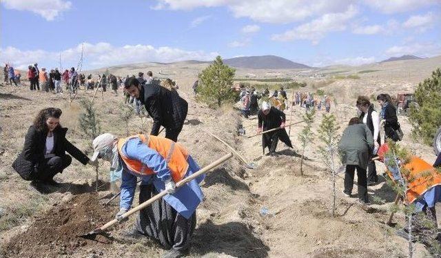 Selçuk’ta Şehitler Anısına Bin 100 Fidan Toprakla Buluştu