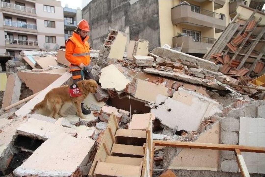Sokakta Bulunan R&uuml;zgar&rsquo;ın Hayatı Belgesel Oldu