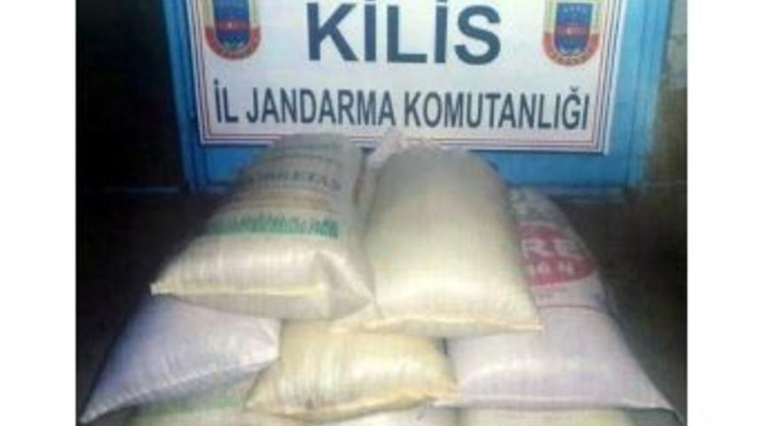 Buğday Hırsızı Tutuklandı