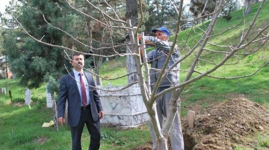 Pazarlar&rsquo;da Mezarlıklara Bahar Bakımı