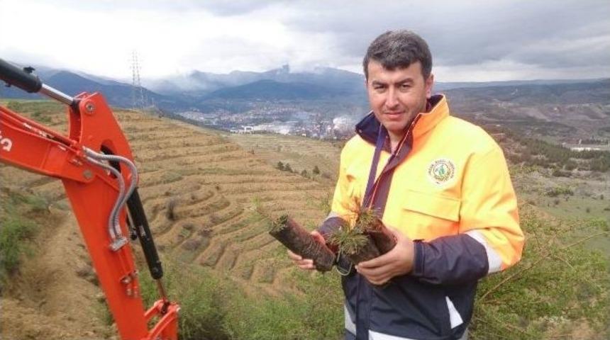 &Ccedil;ıplak Yama&ccedil;lara 110 Bin Fidan