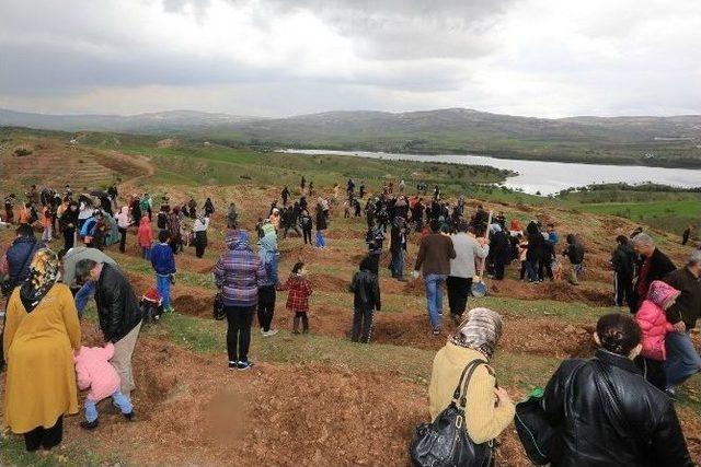 B&uuml;y&uuml;kşehir , 1 Milyon Metrekare Alanı Ağa&ccedil;landırdı 2