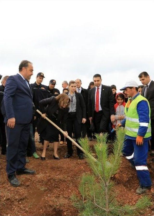 B&uuml;y&uuml;kşehir , 1 Milyon Metrekare Alanı Ağa&ccedil;landırdı 3