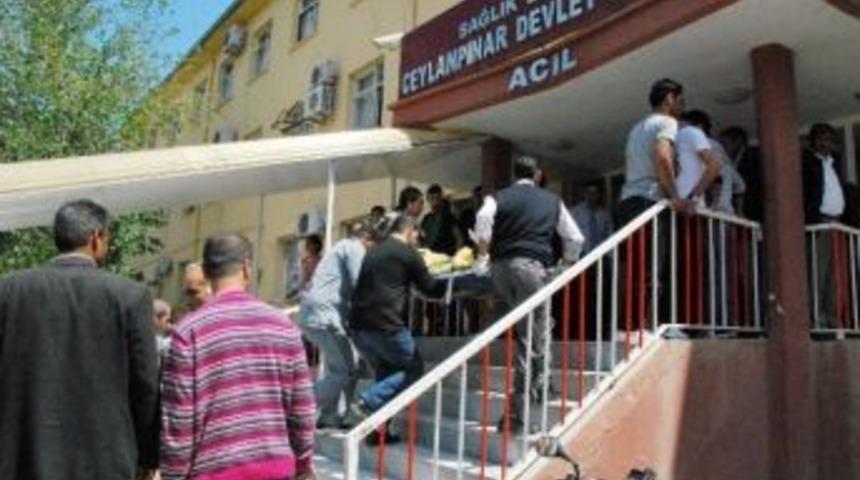 &Ccedil;adır Kentte Yangın: 2 Ağır Yaralı