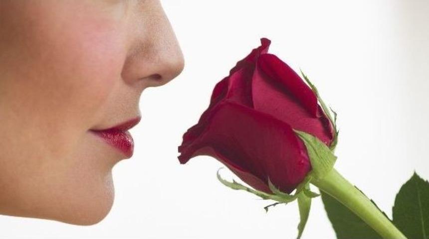 Kokular Duygularımızın Y&uuml;zde 75&rsquo;ini Etkiliyor