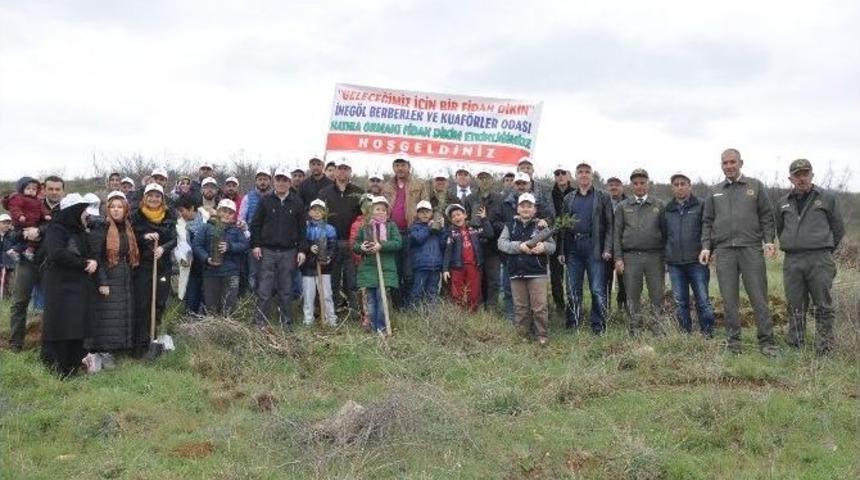 Berberler Fidan Dikti