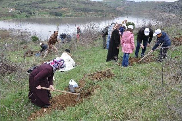 Berberler Fidan Dikti