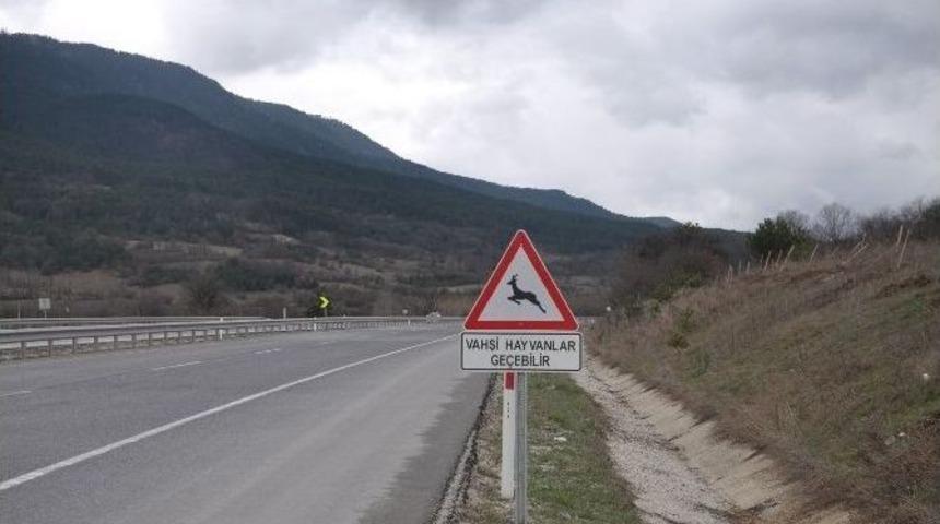 Yabani Hayvanlar İ&ccedil;in Karayollarına İkaz Tabelaları Yerleştirildi