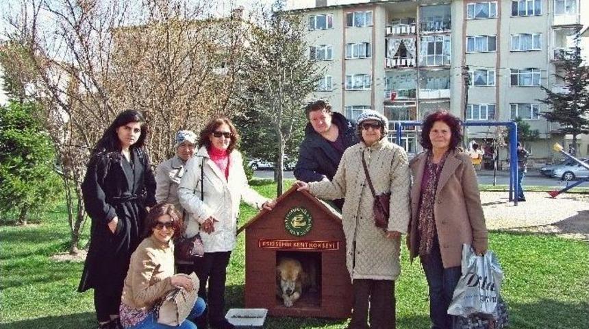 Kent Konseyi Hayvan Hakları Grubu&rsquo;ndan Teşekk&uuml;r Ziyareti