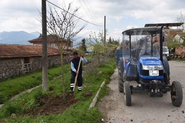 Yunusemre Ağa&ccedil;landırılıyor 1