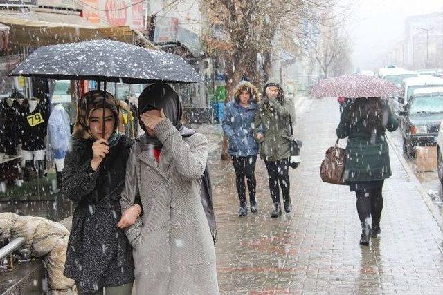 Muş’ta Lapa Lapa Kar Yağışı 1