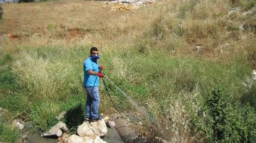 B&uuml;y&uuml;kşehir&rsquo;den Larva M&uuml;cadelesi