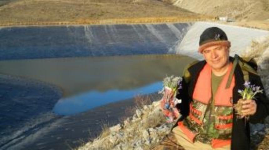 Doğanşehir&rsquo;de Nevruz &Ccedil;i&ccedil;ekleri A&ccedil;maya Başladı