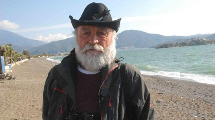 Fethiye K&ouml;rfezinde Fok Balığı G&ouml;r&uuml;nt&uuml;lendi