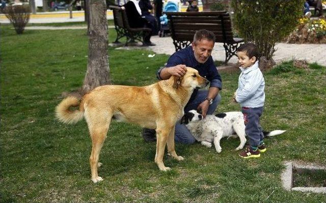 Odunpazarı&rsquo;ndan Hayvanlara Aşı Uygulaması Devam Ediyor 1