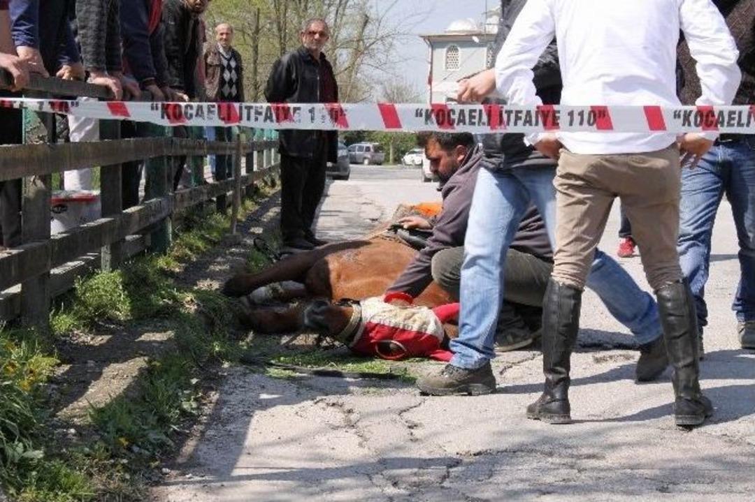 (&ouml;zel Haber) Ağayı Mazgala Sıkışan Atı İtfaiye Kurtardı