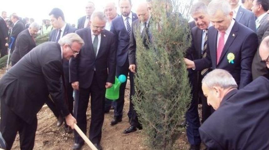 &Ccedil;anakkale Şehitleri İ&ccedil;in Hatıra Ormanı