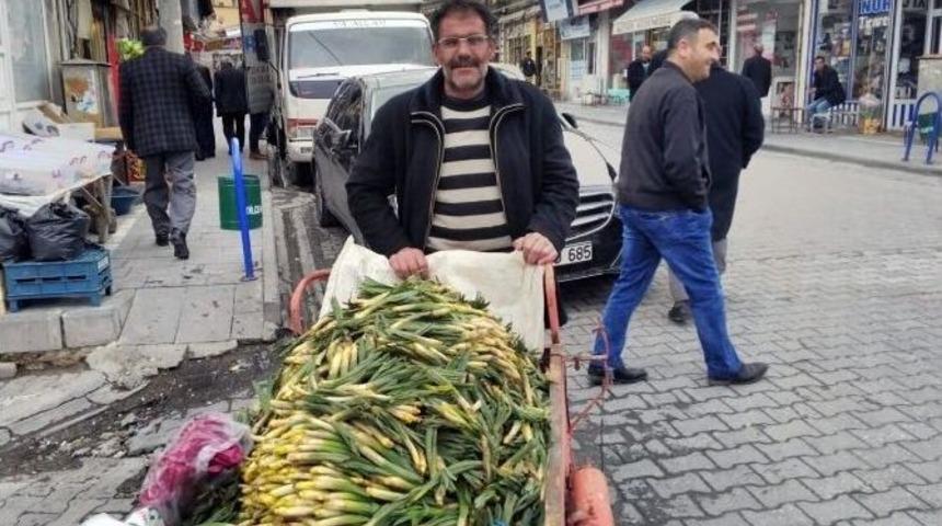 Baharın M&uuml;jdecisi &Ccedil;iriş Tezgahlarda Yerini Aldı