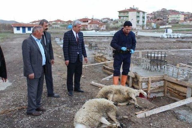 Sungurlu Kapalı Pazar Yerinin Temeli Atıldı